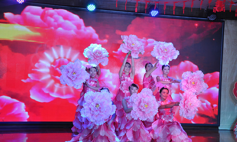 龙跃人生就是搏中国区-花开盛世——2016年度文艺汇演